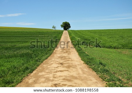 single lane road in rural spring landscape Royalty-Free Stock Photo #1088198558