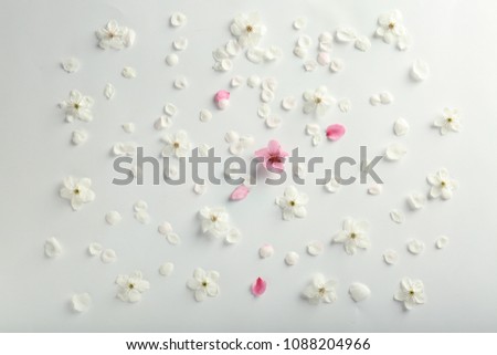 Beautiful composition with blooming flowers and petals on white background