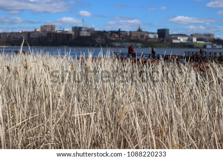 City landscape from the embankment of the Izhevsk pond. Izhevsk, Russia