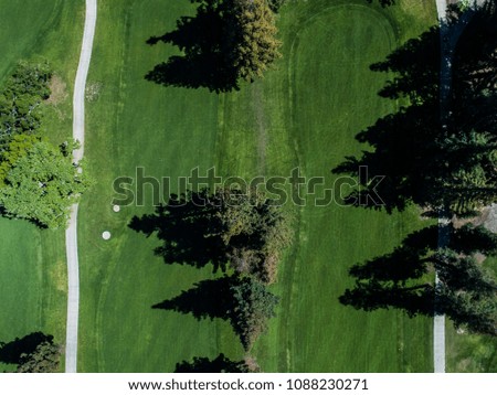 Aerial photograph of golf course and trees.