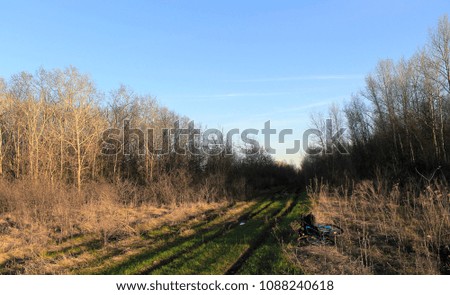 Sport and way of life, evening in the forest.  Road through the fields and woods on the side of the bike