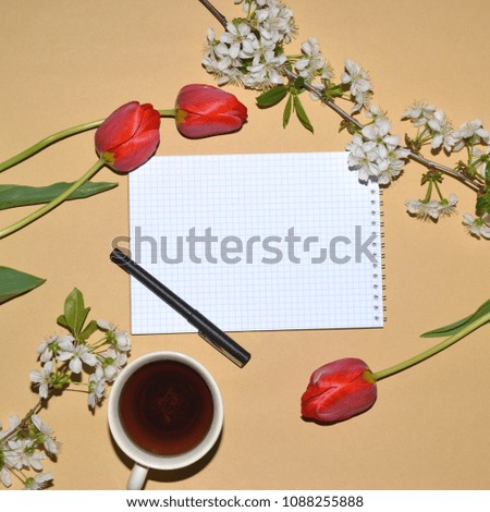 Coffee, clean notebook and beautiful tulip flower on brown table top view in flat lay style. Woman working desk with cozy breakfast