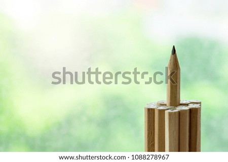 outstanding pencil stand higher than other. successful and achievement concept