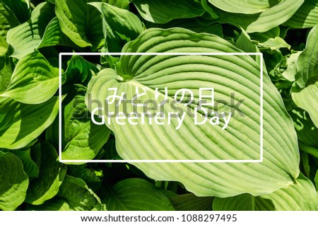 Greenery Day National Holiday in Japan Celbrated in May
