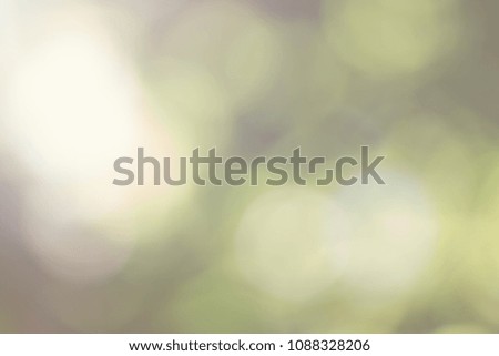 Abstract blurred background of nature