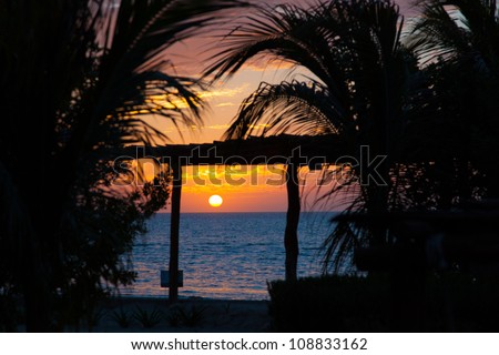 Colorful sunset in Mexico, holbox island, with palm tree in front