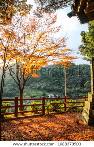 Autumn in Saga, Japan
