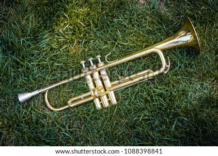 Closeup of brass musical golden orchestra trumpet on green grass in city park.