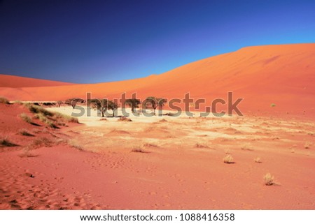 Landscape of Deadvlie,  Namibia, Africa