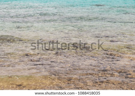 stony shore sea water clean