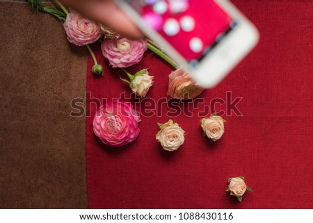 Instagram photography blogging workshop concept. A girl hanging a phone taking a photo of floral frame made of pink ranunculus flower buds and roses buds on red textile background