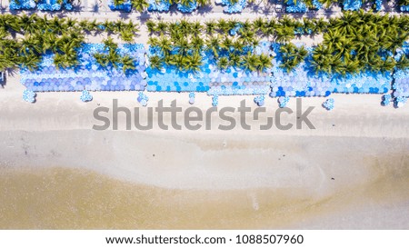 Aerial view Beach with umbrellas 
