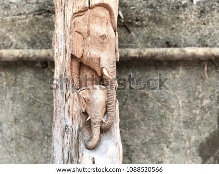 Background : Elephant Wood