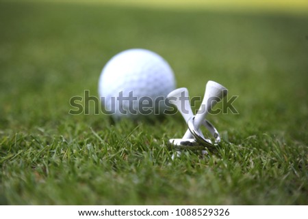 Wedding rings on golf tees photo with golfball in the background