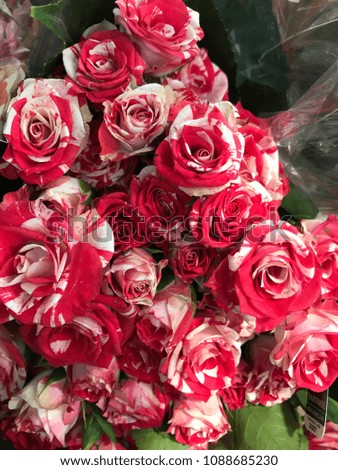 Colored Rose Bouquet
