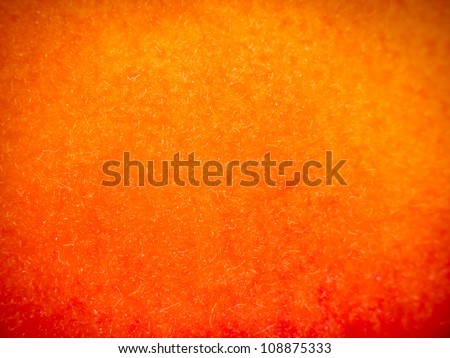Apricot macro for texture or background Royalty-Free Stock Photo #108875333