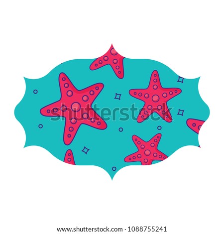 seastars pattern design