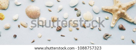 A creative pattern of shells, starfish. Composition of natural materials, flat lay, top view. Summer, sea concept. White marine background with space for text.