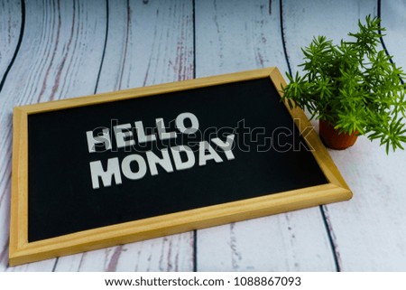 A concept image with words "HELLO MONDAY" on the blackboard and small tree as decoration.