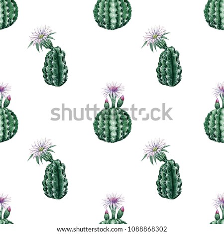 Pattern with cactuses. Watercolor hand painted illustration