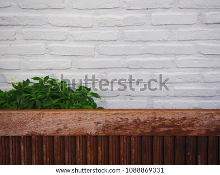 white brick wall with plant and wooden