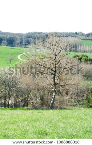 Spring in the countryside in South-Western France