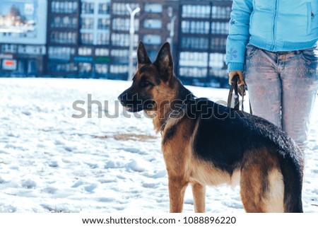 Shepherd is standing next to a woman