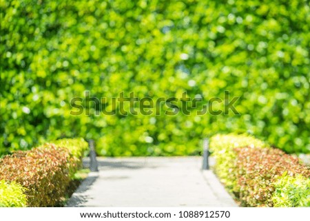 Blurred Bokeh background, Leaf wall. Include front walkway. (Edit with full leaf wall)