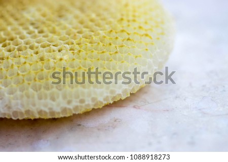 Sweet yellow honeycomb photographed close