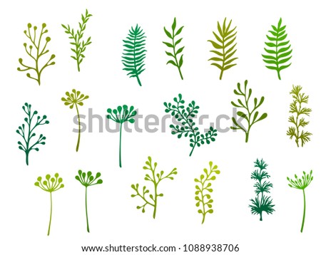 Willow and palm tree branches, fern twigs, lichen moss, mistletoe and rosemary grass herbs, dandelion flower vector illustrations set. Simple branches, twigs floral green set isolated on white.