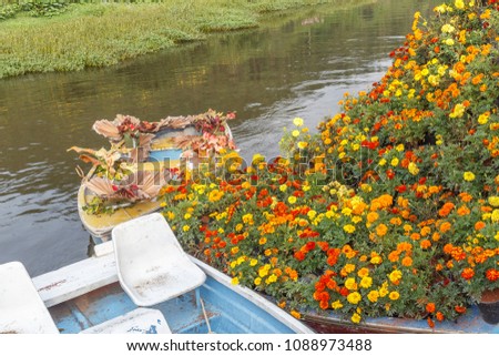 wide view of pedal boat covered and decorated with beautiful daisy and marigold flowers. Seen with bunch or bush of colorful flowers near by a lake at munnar kerala india 11 botanical garden