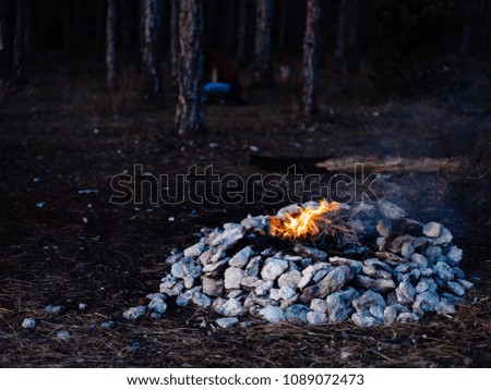 A bonfire in the forest