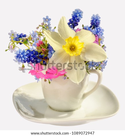 bouquet of spring flowers on a white coffee cup isolated on white background