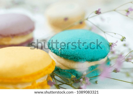 French cake macaron or macaroon. Colorful cookies made from almond flour in pastel colors