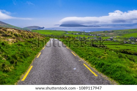 Beautiful nature and greens at Dingle Peninsula Ireland