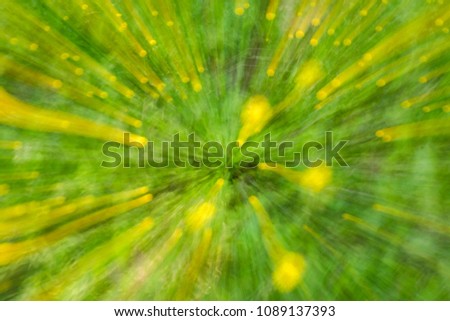 Abstract green bloom yellow dandelion flower of tree background of tree in countryside outdoors. Zoom blossom speed blured motion. Created by zooming out.