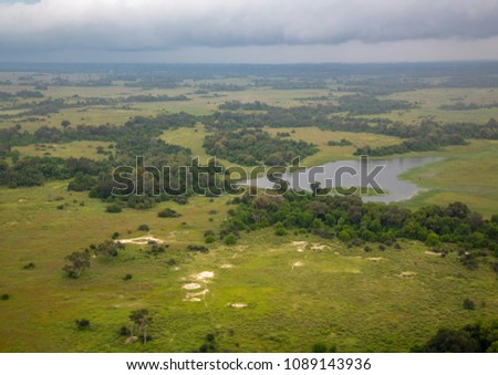 Aerial picture of the Okavango Delta in Botswana during summer period