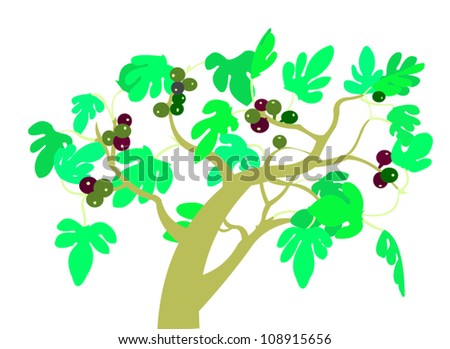 a fig tree branch with figs and leaves