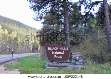 Welcome to Black Hills National Forest
