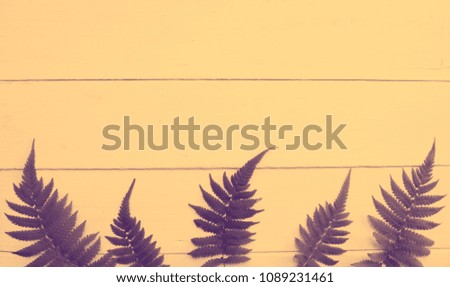 The frame is a natural leaf of the tree, the leaf is on the bottom edge of the picture. An exotic plant on a background coloring graphic.