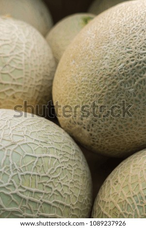 Whole rocket melons in the market.