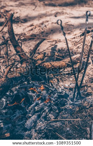 Three skewers stuck in the ground next to the fire