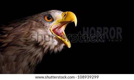 The evil eye. Awesome screaming eagle from fantasy. Picture with space for your text.