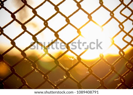 rays of the sun through the grid