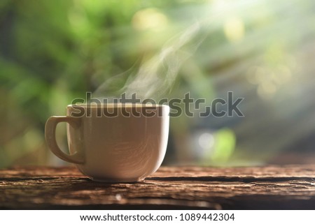 hot drink cup in garden morning sunlight