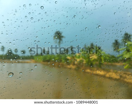 Large beautiful drops of transparent rain water. Natural background.