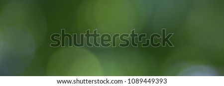 Natural green blurred background. Foliage in the bokeh. Can be used as a header or banner for your design projects.