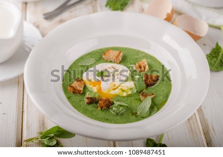 Spinach soup with poached egg, fresh croutons and herbs in, photo stock advertisment