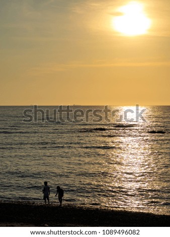 beach in sunset