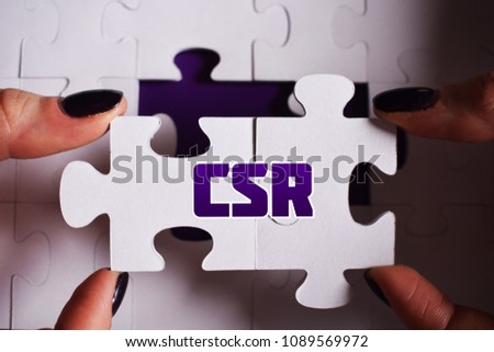 Puzzle with the word:CSR